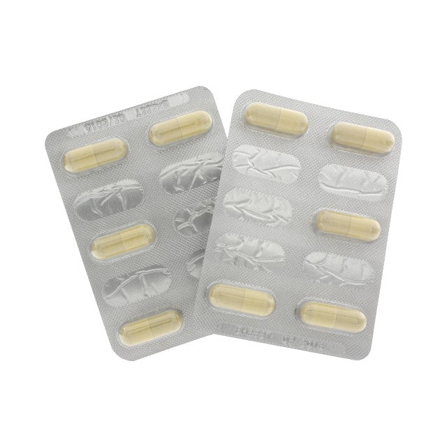 Capsule HOT Exxtreme Libido Caps, pentru creșterea libidoului feminin, cu vitamina B3 și acid folic, 10 buc