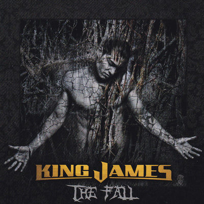 King James - The Fall (*CD, 2010, Retroactive) Remastered Stryper & Rex Carroll