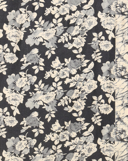 Indiehaat | Kashmiri Silk Printed Saree Black & Beige