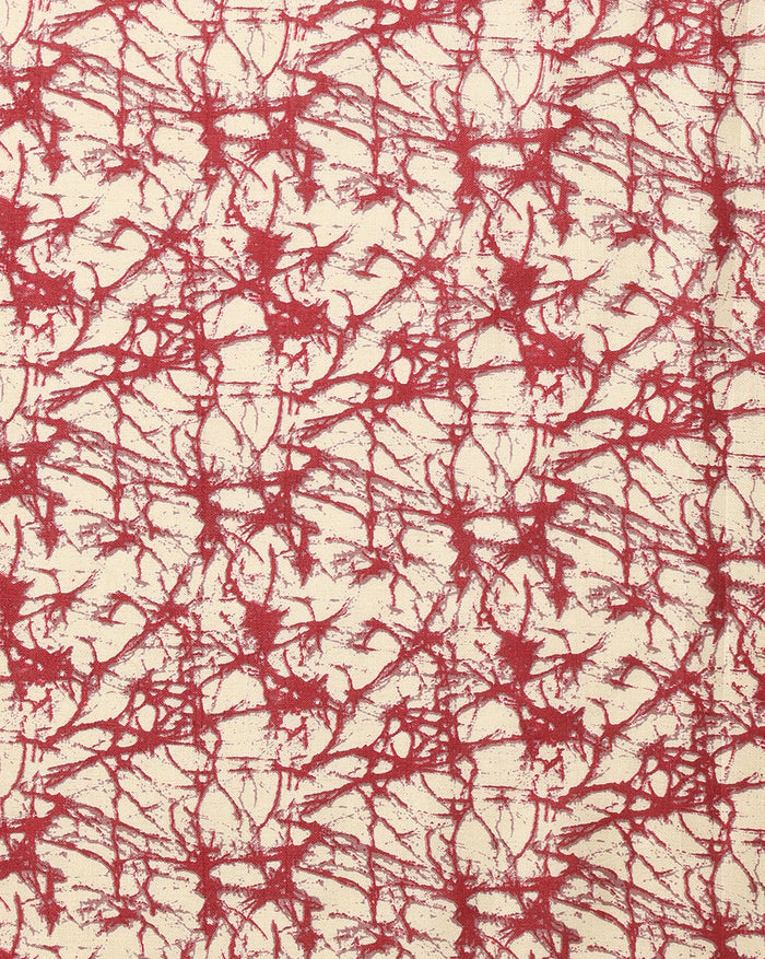 Indiehaat | Kashmiri Silk Printed Saree Deep Red & Cream
