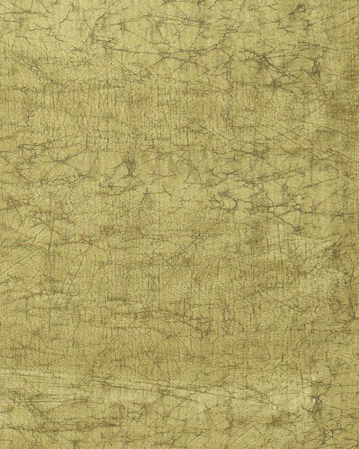 Indiehaat | Kashmiri Silk Printed Saree Olive Green & Dar