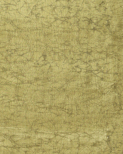 Indiehaat | Kashmiri Silk Printed Saree Olive Green & Dar