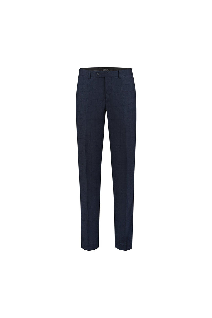 Pantalon ruit blauw
