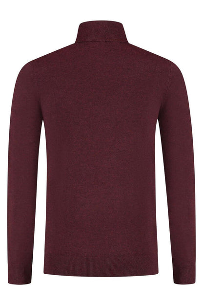 Turtle neck marron, fijngebreide coltrui met hoge kraag, stijlvolle en professionele uitstraling.
