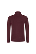 Turtle neck marron, fijngebreide coltrui met hoge kraag voor professionele uitstraling.