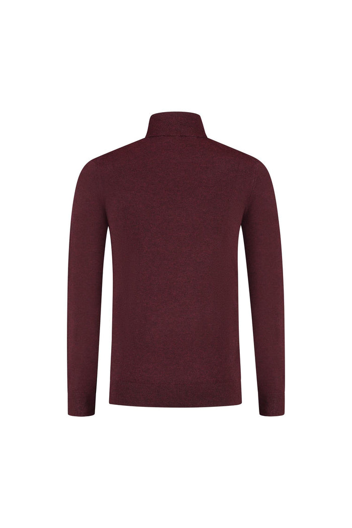 Turtle neck marron, fijngebreide coltrui met hoge kraag, professionele uitstraling, achteraanzicht.