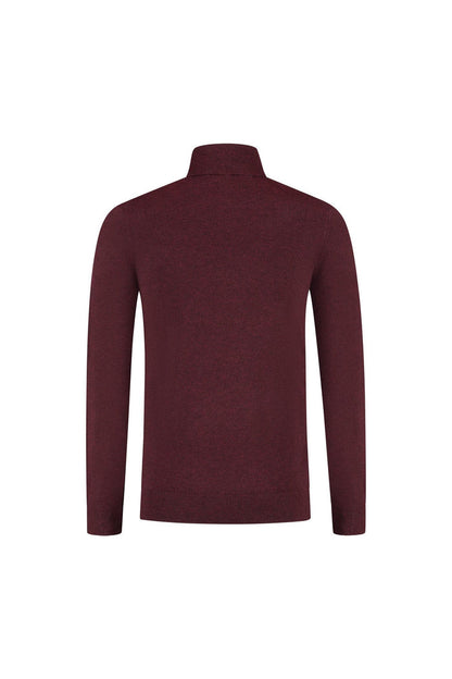 Turtle neck marron, fijngebreide coltrui met hoge kraag, professionele uitstraling, achteraanzicht.