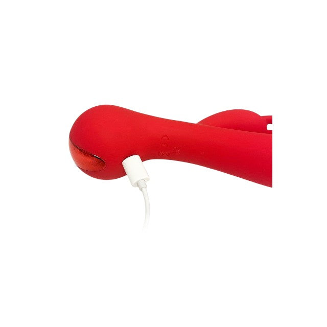 Vibrator rabbit DREAMTOYS Amour Camille, pentru stimularea clitorisului și punctului G, 10 funcții de vibrație, roșu